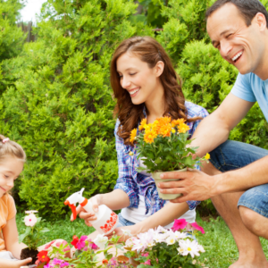 4 Spring Family Gardening Ideas